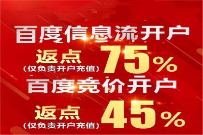 成功案例解析：SEO与SEM协同营销策略